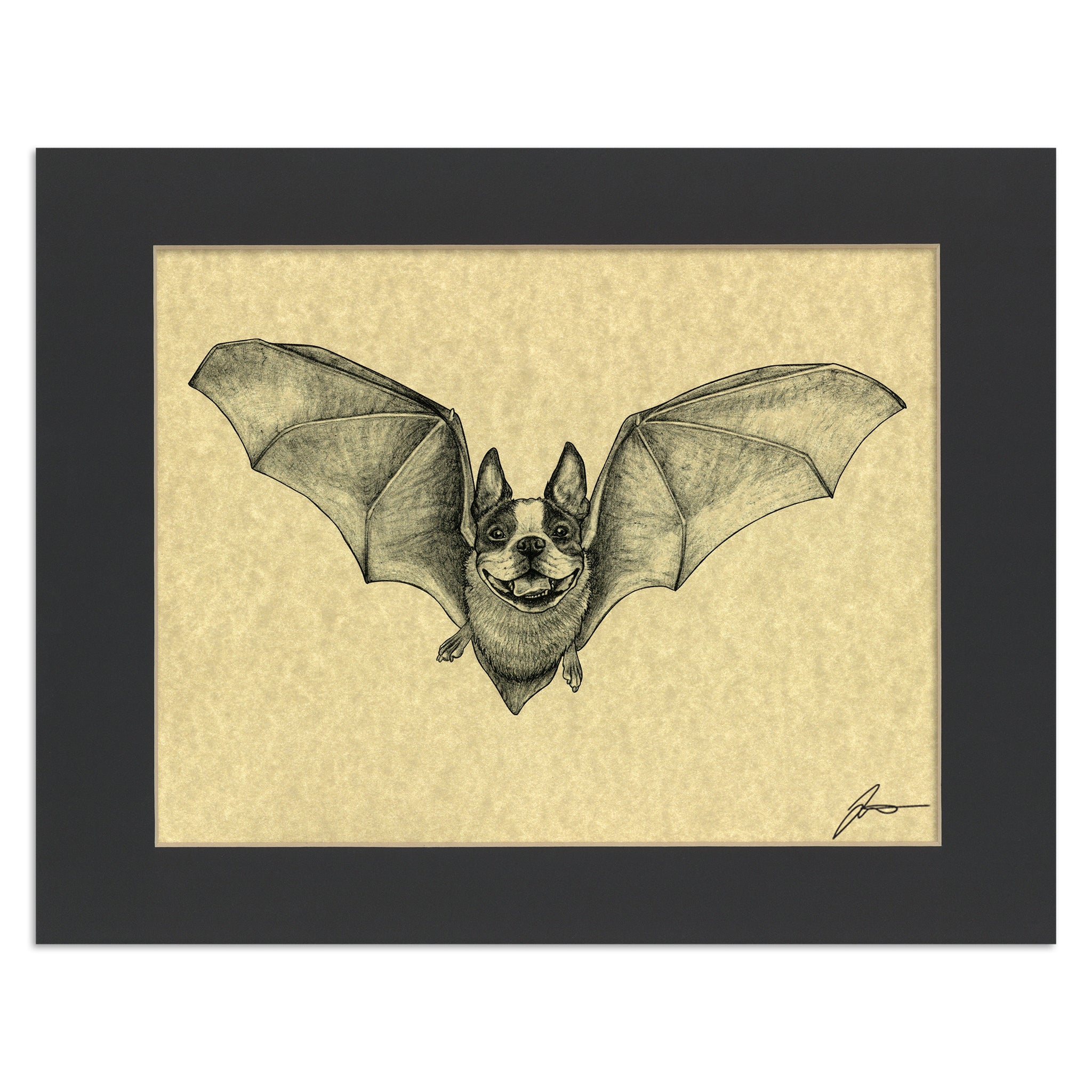 Batson Terrier | Boston Terrier + Bat Hybrid Animal | 11x14" Parchment Print