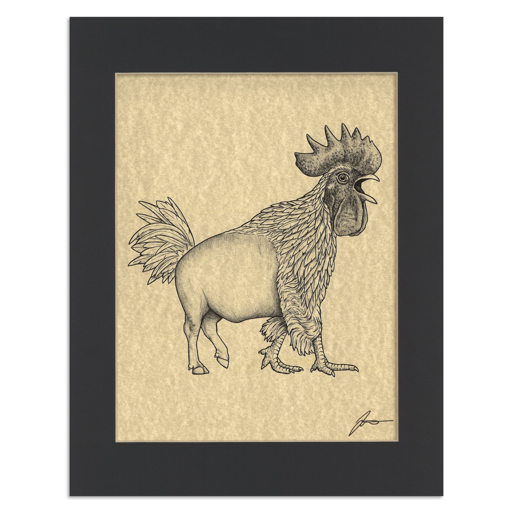 Buffalo Chicken | Buffalo + Chicken Hybrid Animal | 11x14" Parchment Print