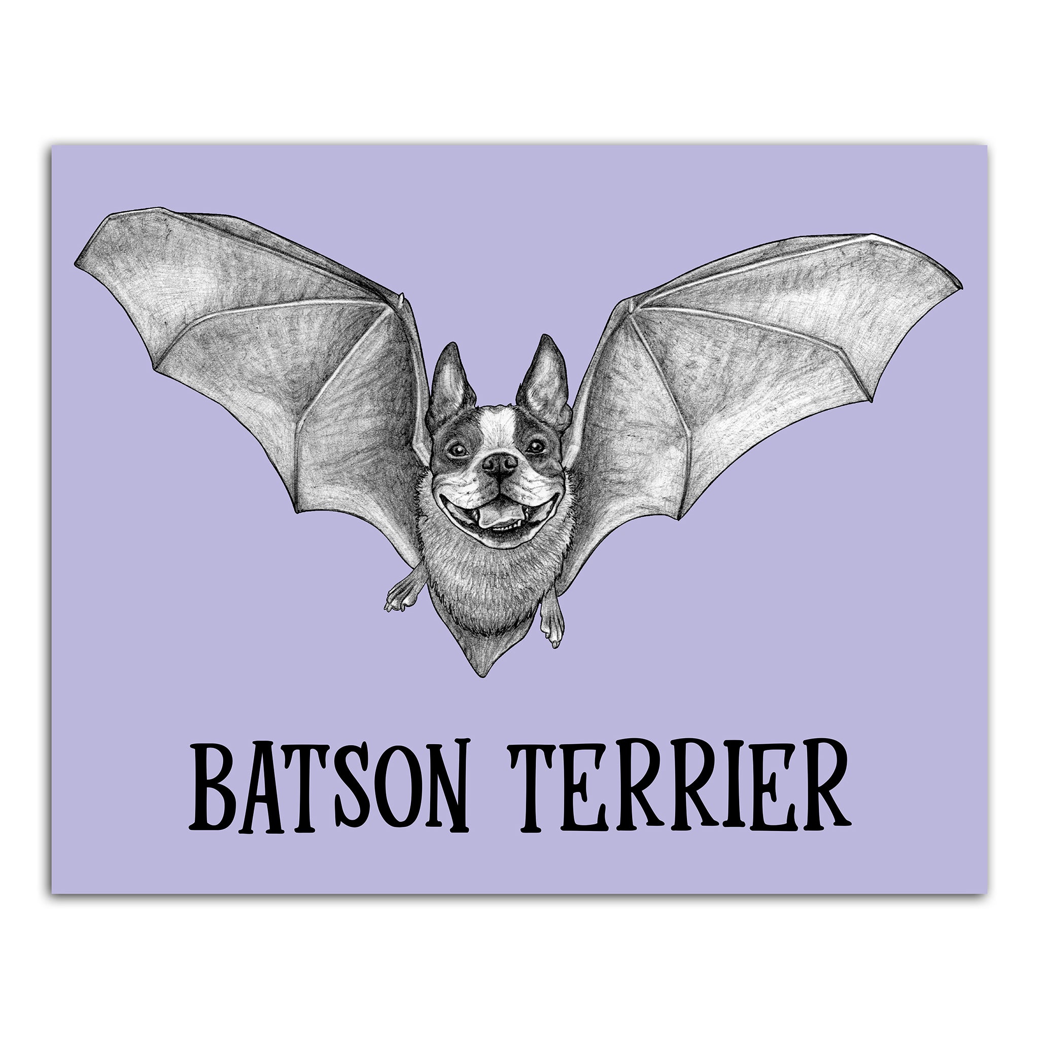 Batson Terrier | Boston Terrier + Bat Hybrid Animal | 8x10" Color Print