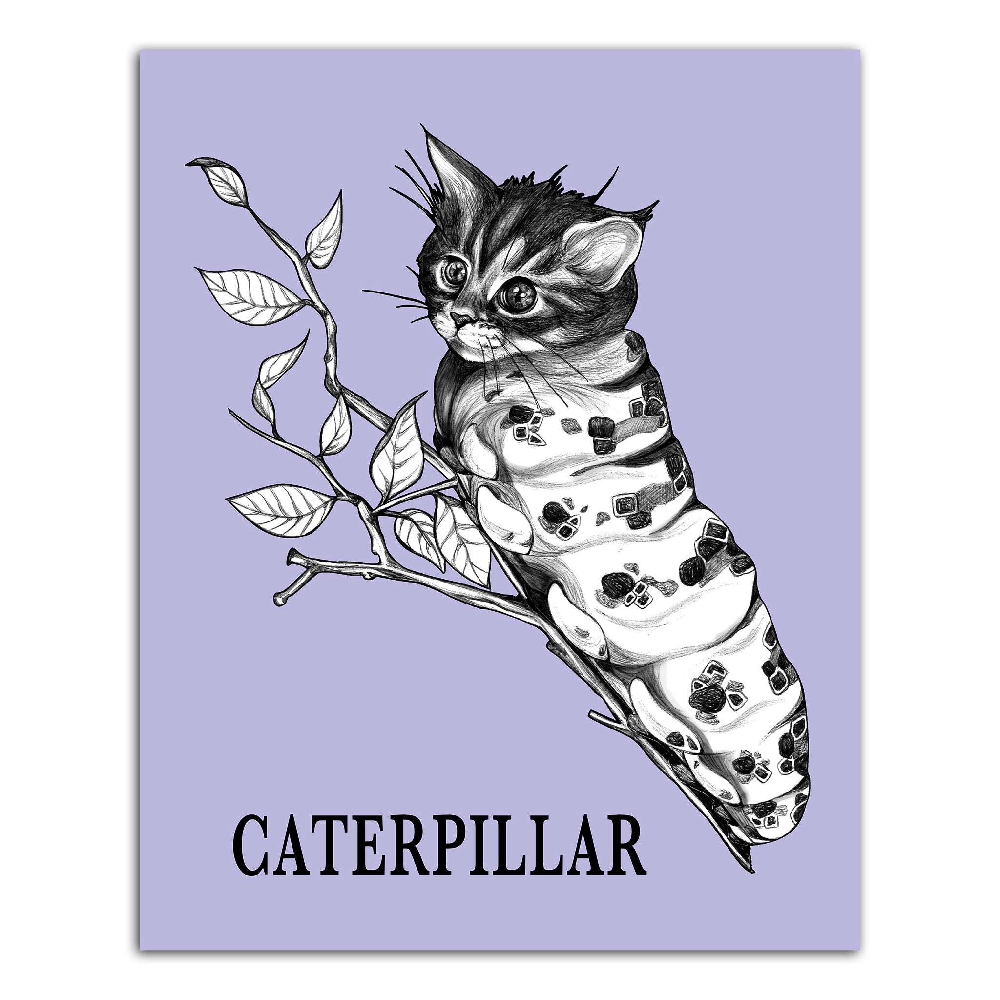 Caterpillar | Cat + Caterpillar Hybrid Animal | 8x10" Color Print