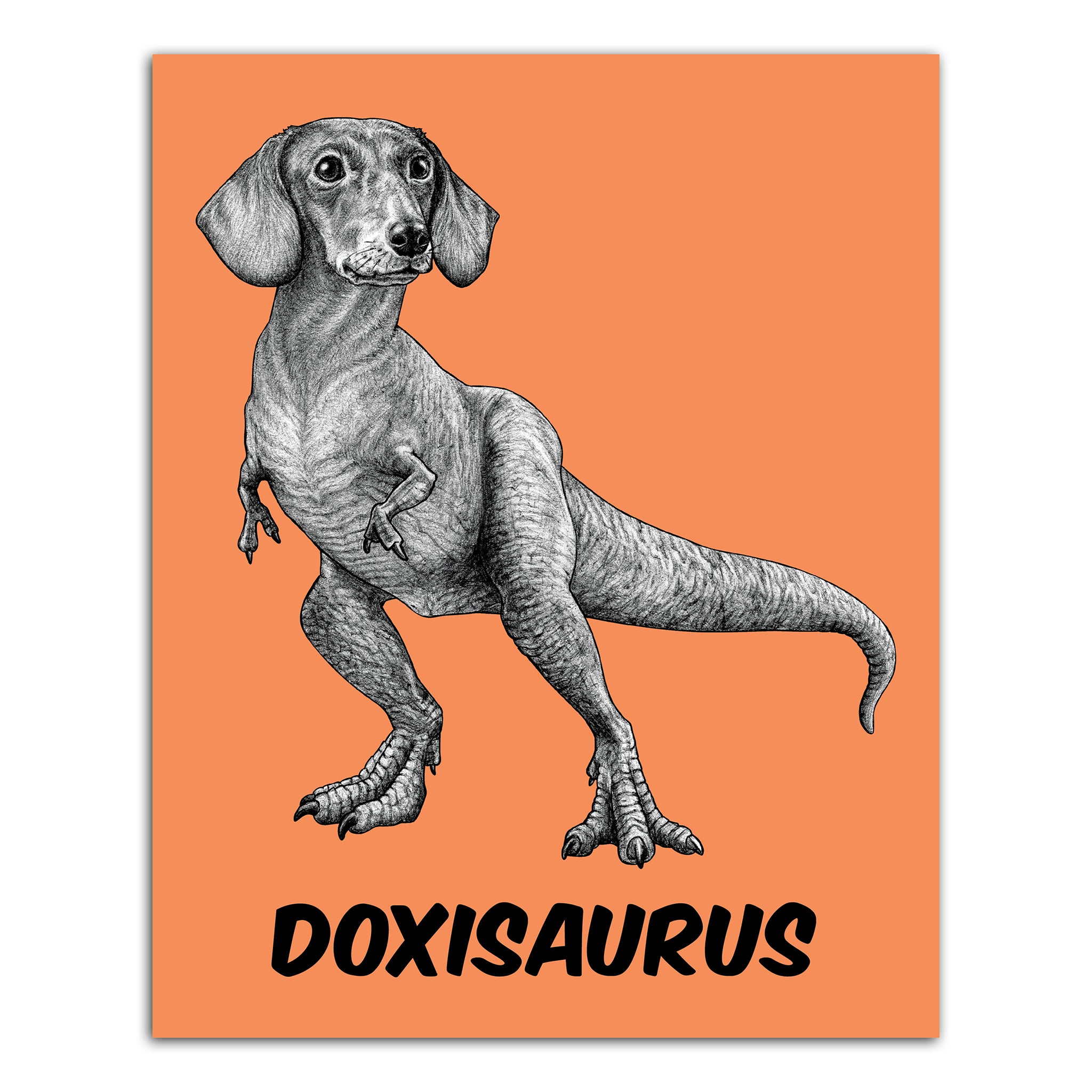 Doxisaurus | Dachshund + TRex Hybrid Animal | 8x10" Color Print
