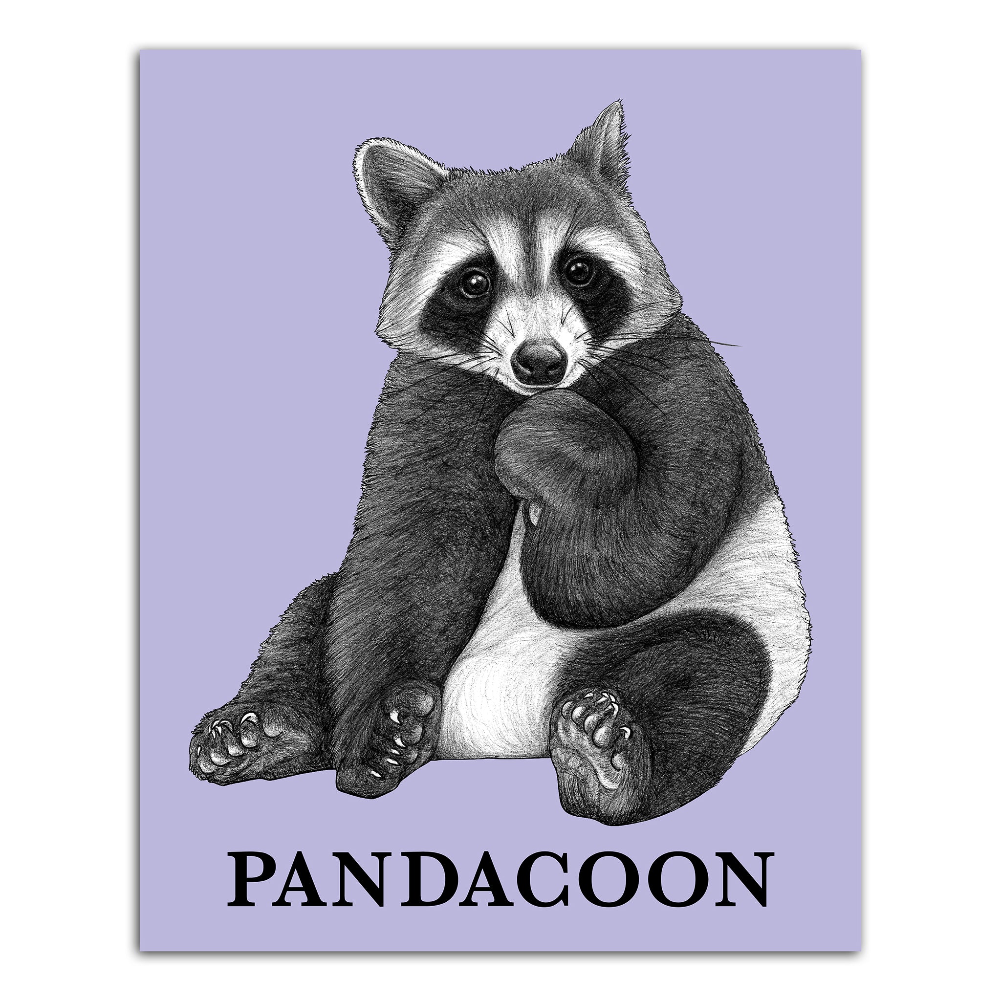 Pandacoon | Panda + Raccoon Hybrid Animal | 8x10" Color Print