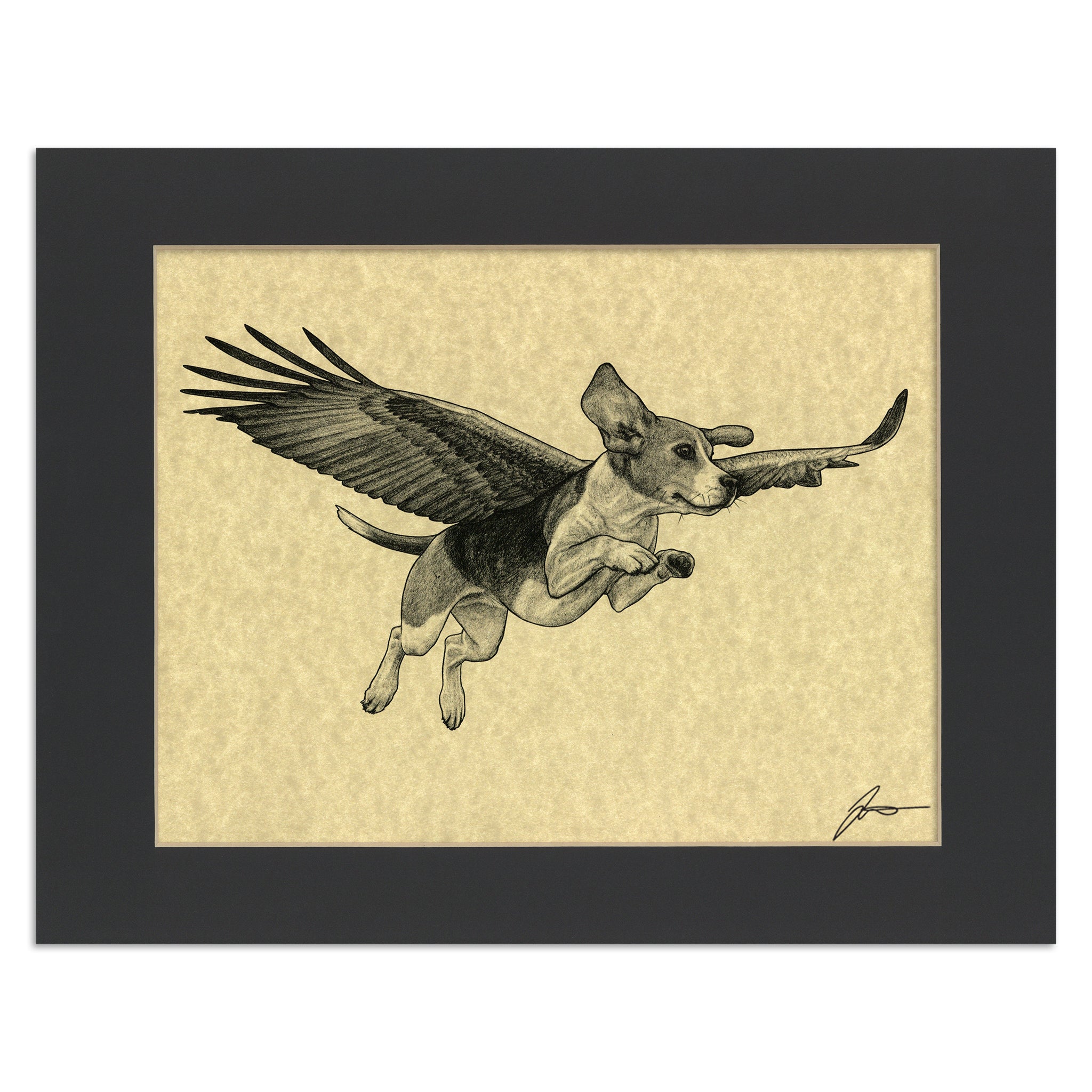 Beagle Eagle | Beagle + Eagle Hybrid Animal | 11x14" Parchment Print