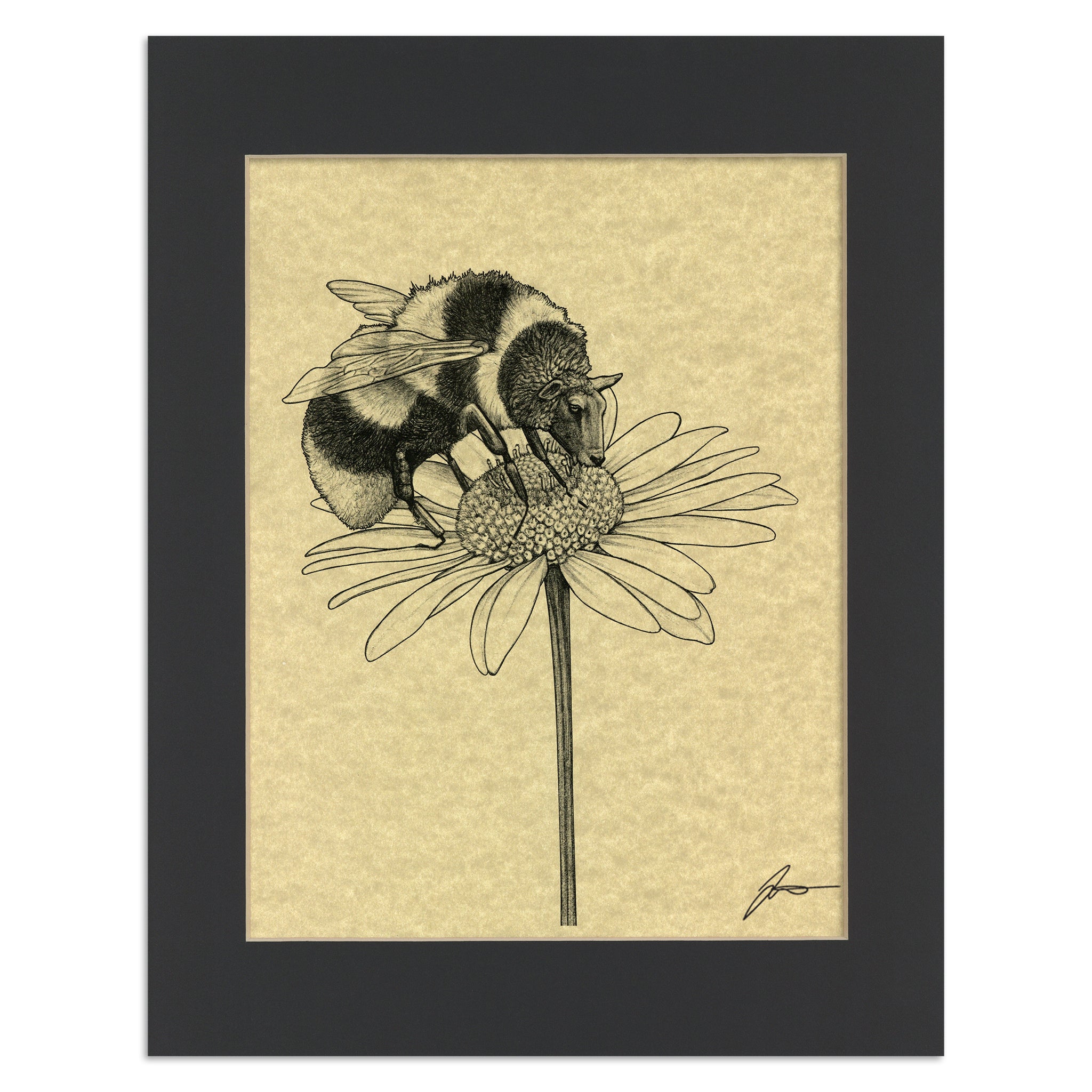 Beep | Bee + Sheep Hybrid Animal | 11x14" Parchment Print
