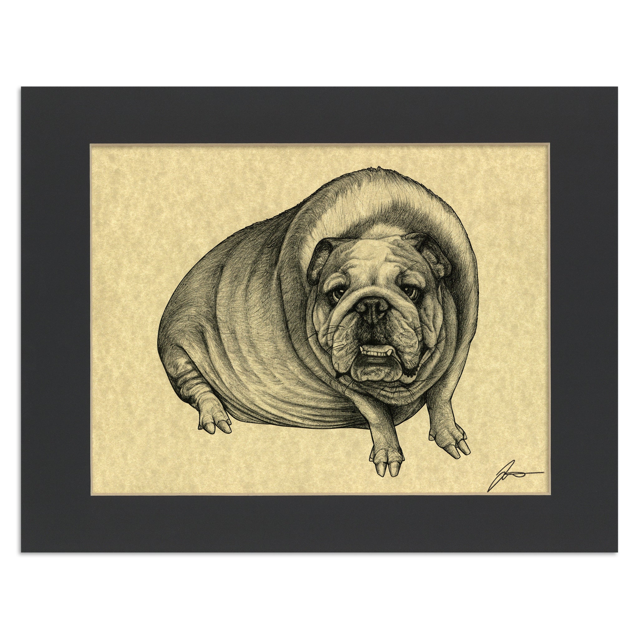 Bullhog | English Bulldog + Hog Hybrid Animal | 11x14" Parchment Print