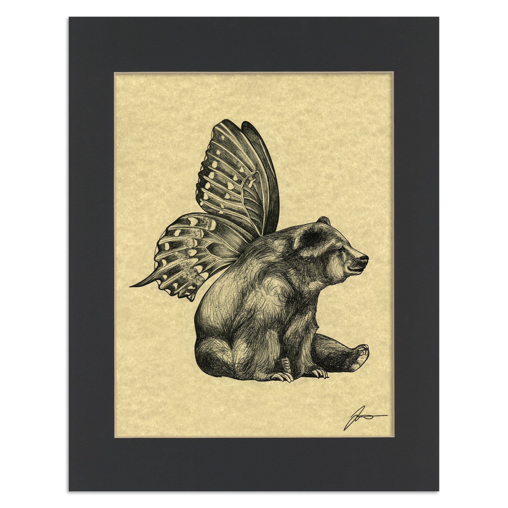 Butterbear | Butterfly + Bear Hybrid Animal | 11x14" Parchment Print