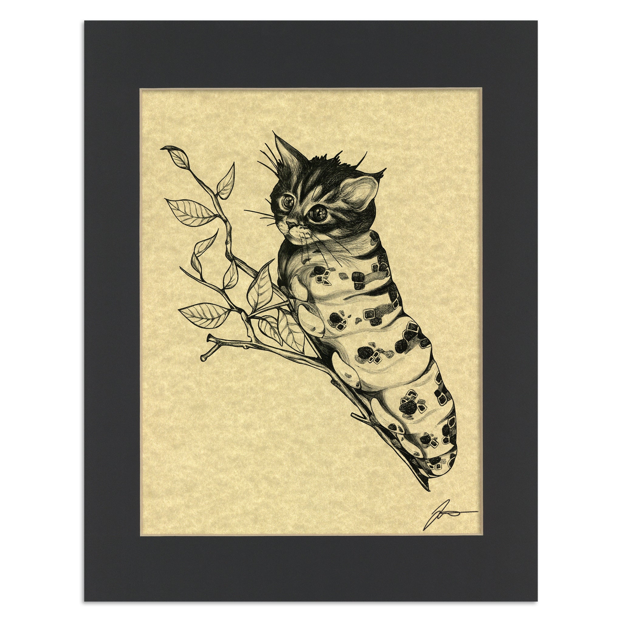 Caterpillar | Cat + Caterpillar Hybrid Animal | 11x14" Parchment Print