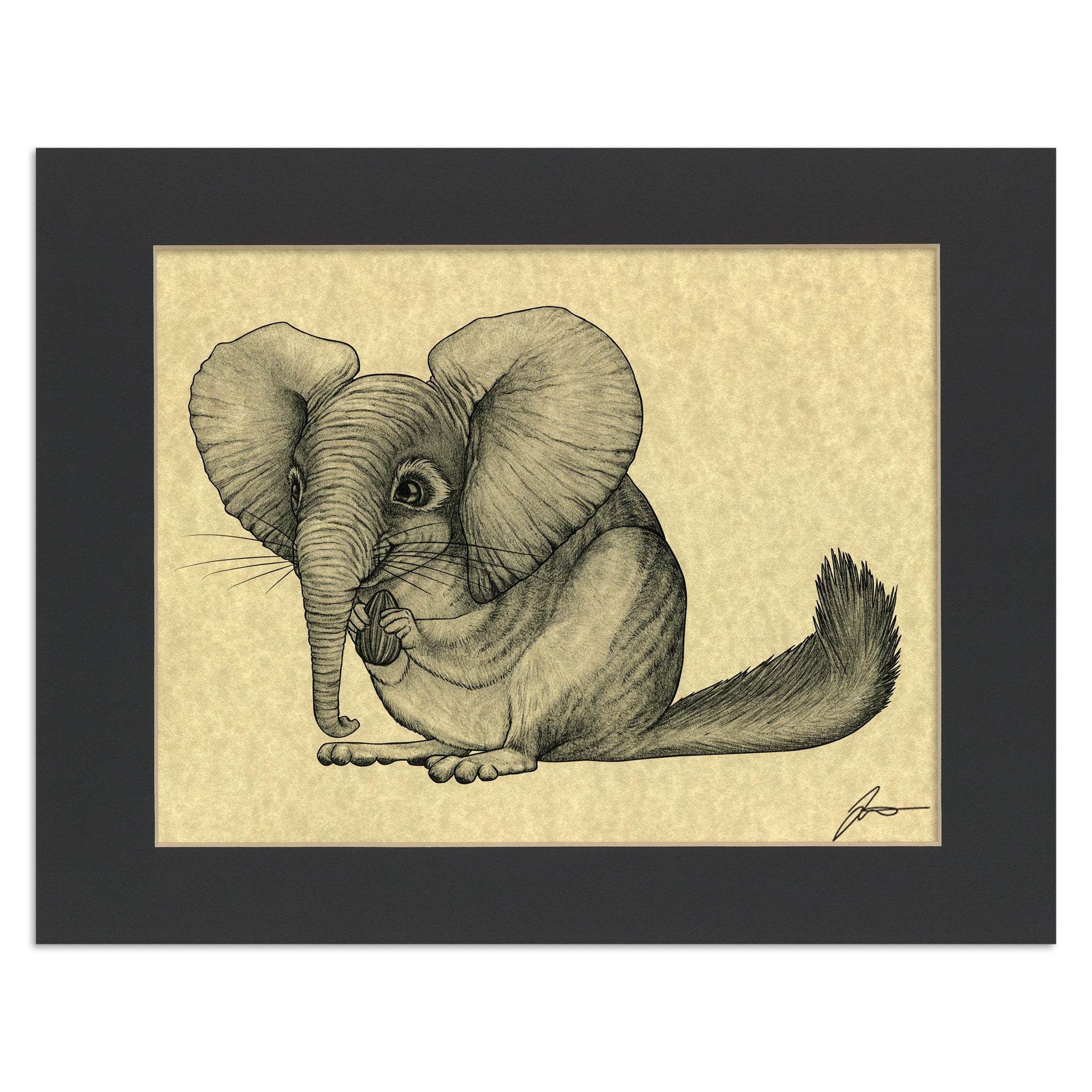Chinchillaphant | Chinchilla + Elephant Hybrid Animal | 11x14" Parchment Print