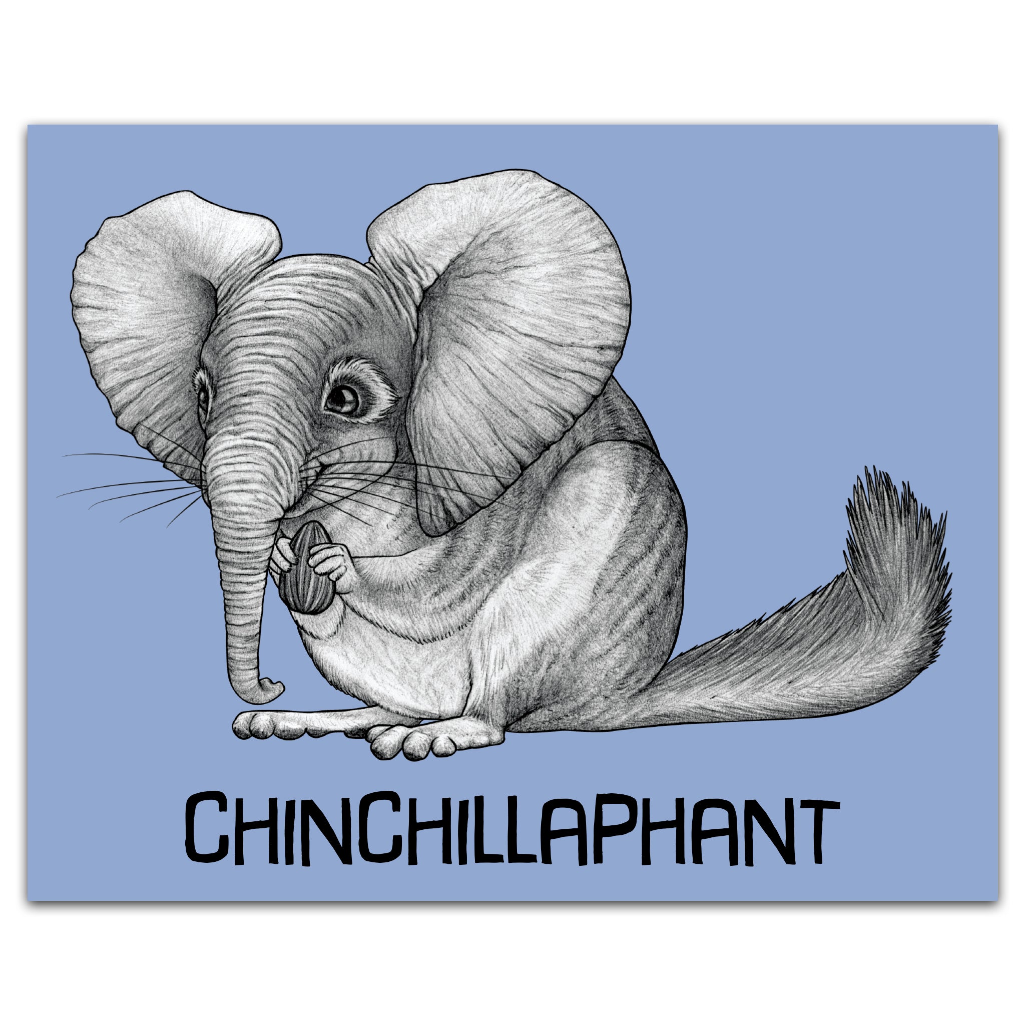 Chinchillaphant | Chinchilla + Elephant Hybrid Animal | 8x10" Color Print