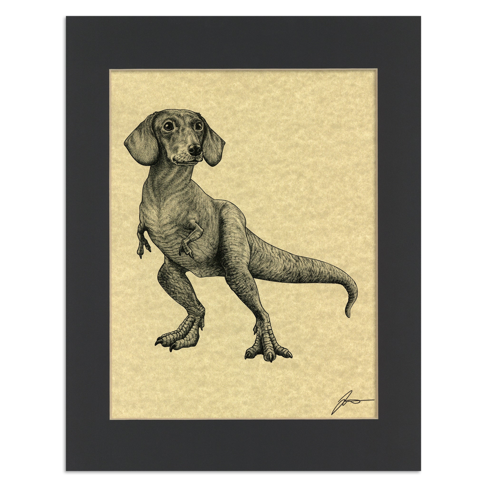 Doxisaurus | Dachshund + TRex Hybrid Animal | 11x14" Parchment Print