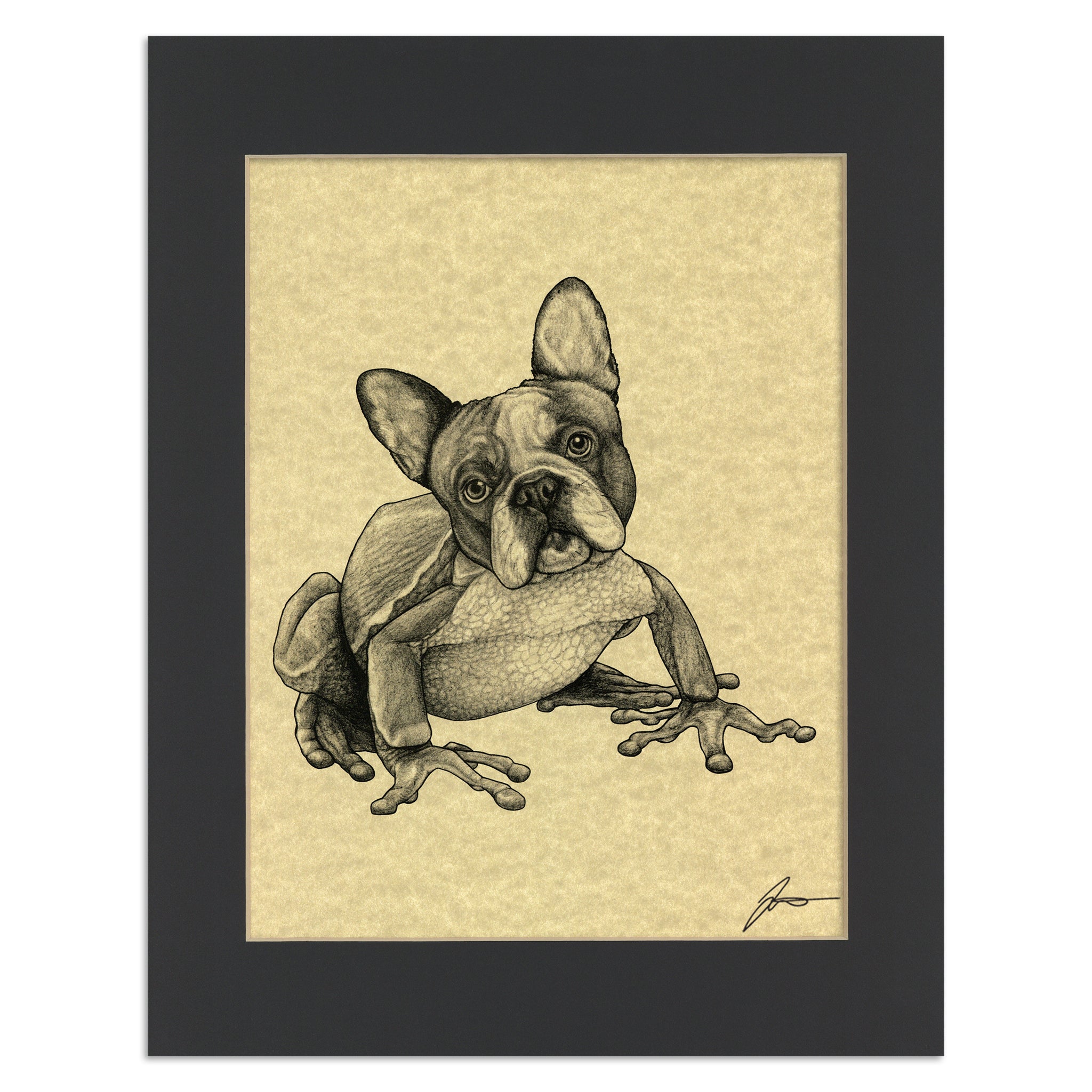 French Bullfrog | French Bulldog + Frog Hybrid Animal | 11x14" Parchment Print