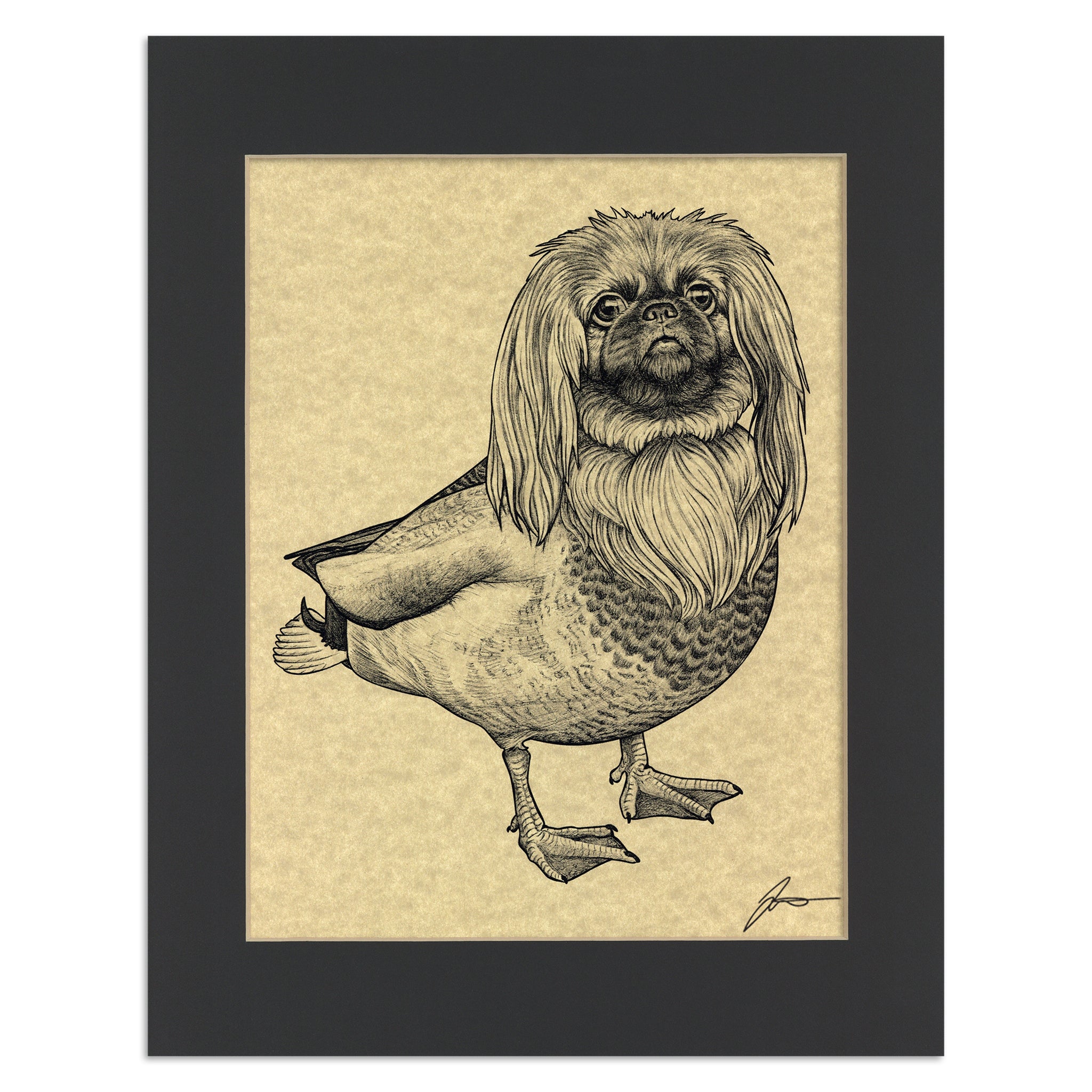 Peking Duck | Pekingese + Duck Hybrid Animal | 11x14" Parchment Print