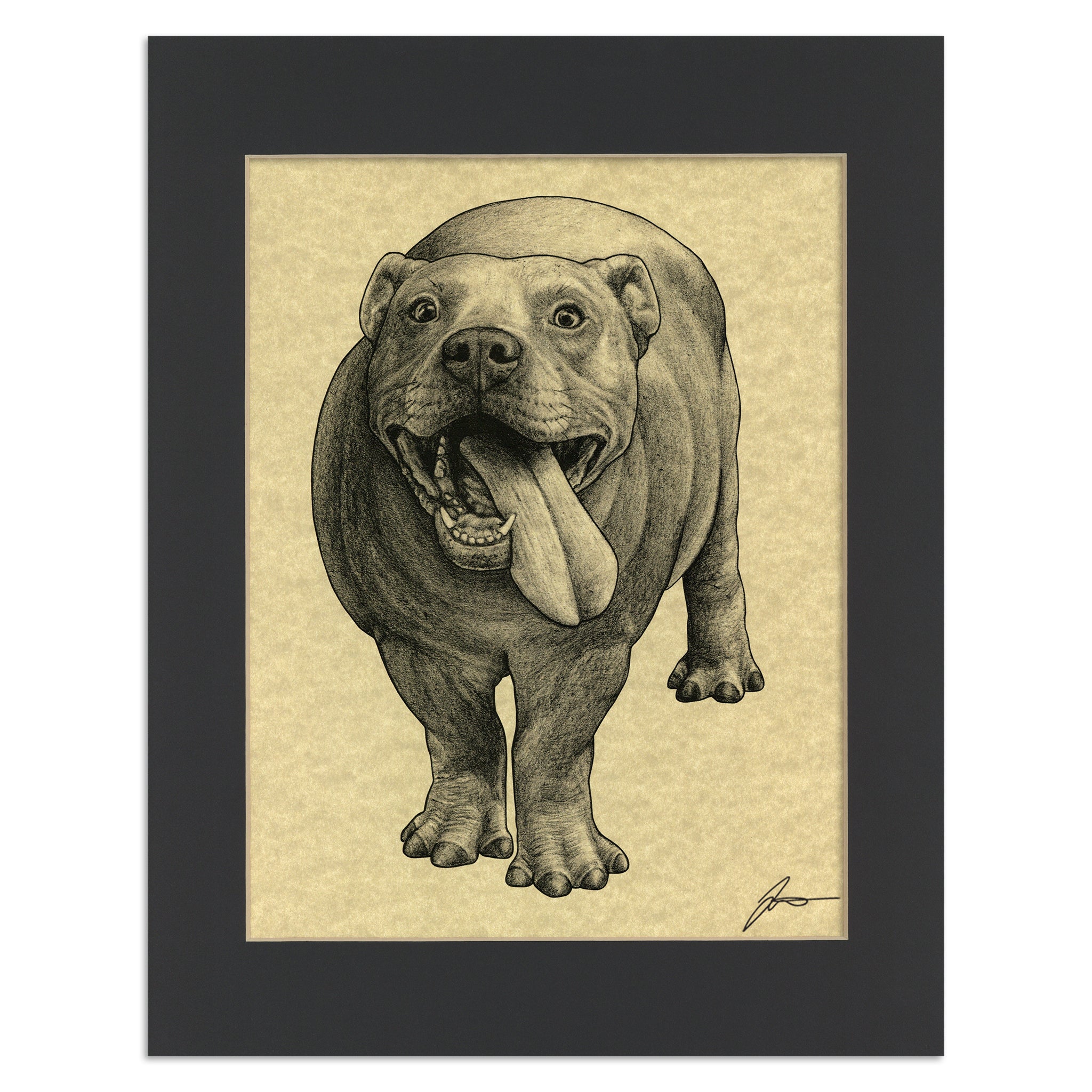 Pitopotamus | Pitbull + Hippopotamus Hybrid Animal | 11x14" Parchment Print