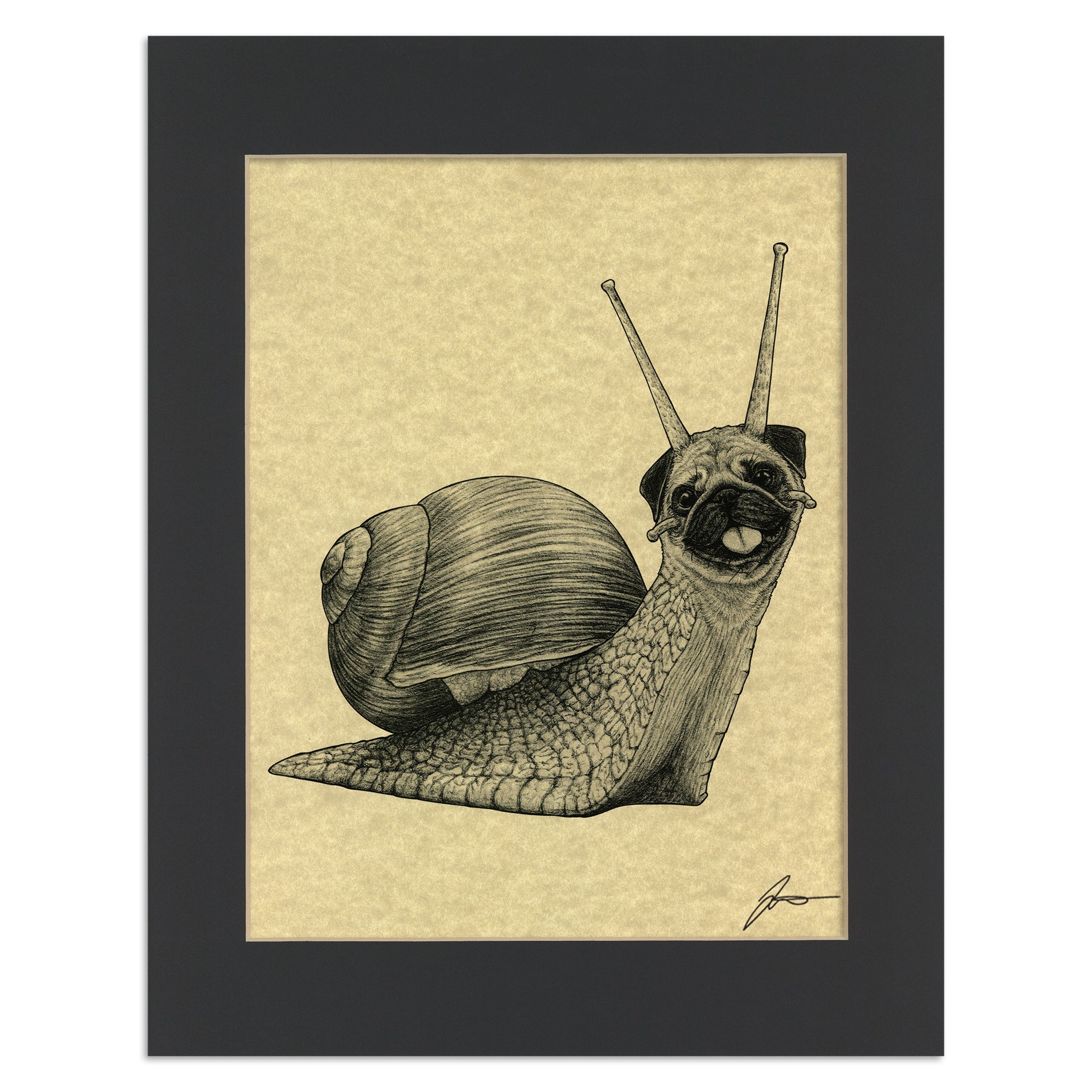 Snug | Snail + Pug Hybrid Animal | 11x14" Parchment Print