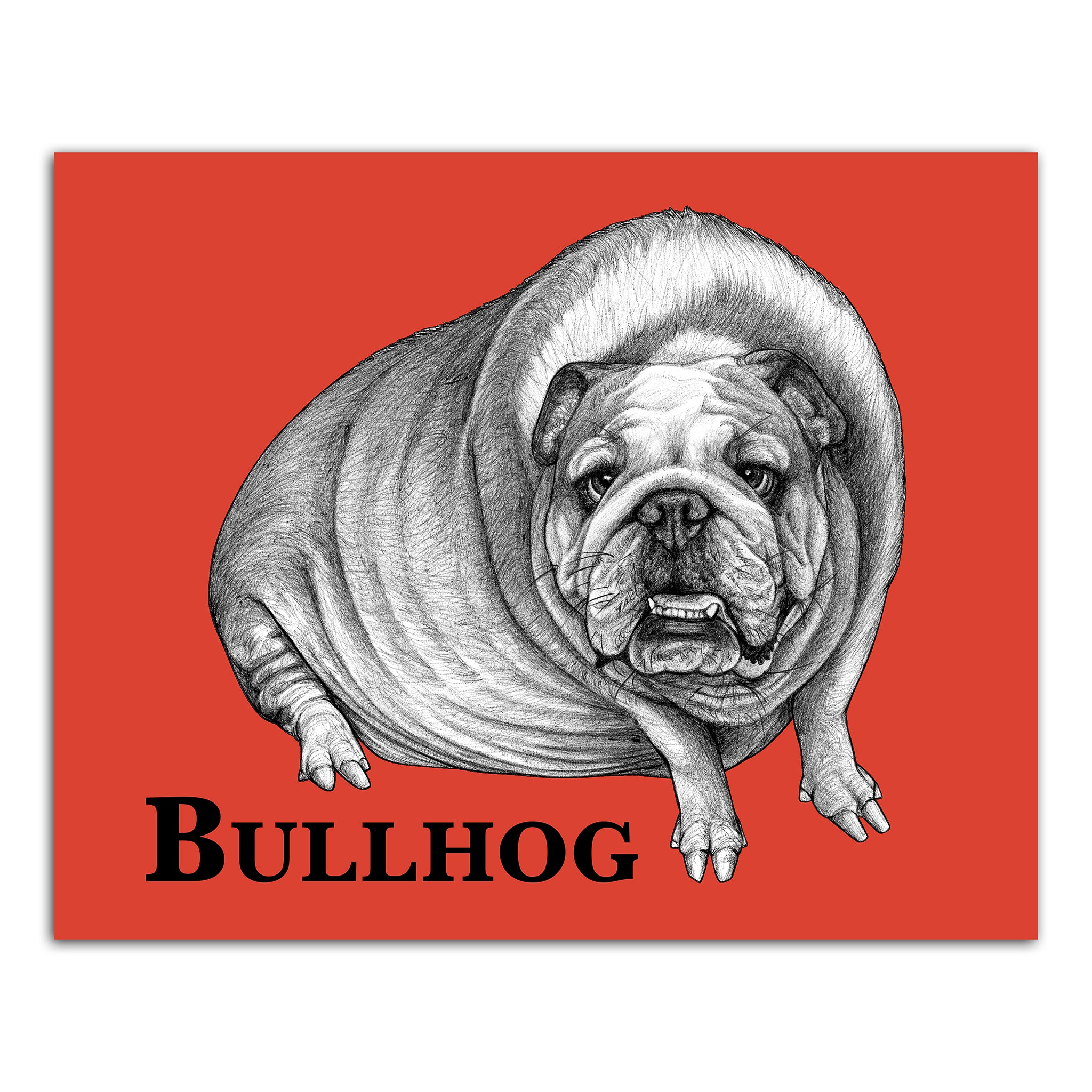 Bullhog | English Bulldog + Hog Hybrid Animal | 8x10" Color Print