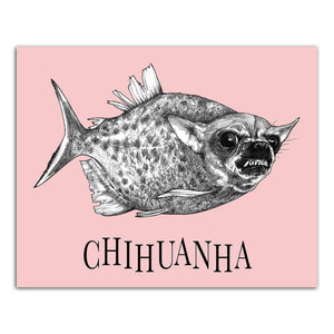 Chihuanha 8x10