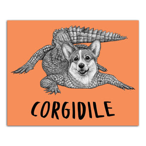 Corgidile 8x10