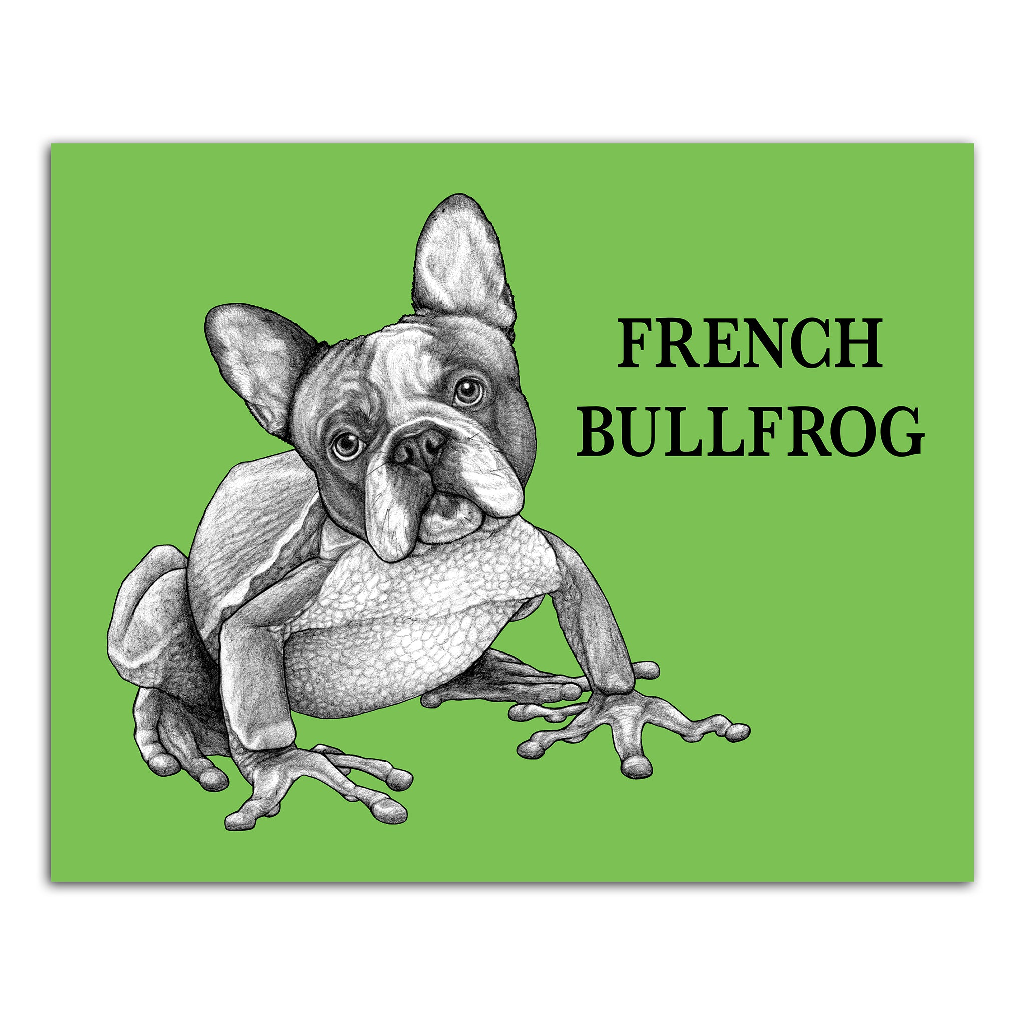 French Bullfrog | French Bulldog + Frog Hybrid Animal | 8x10" Color Print