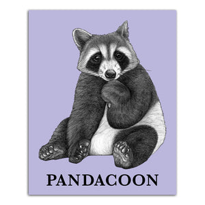 Pandacoon 8x10