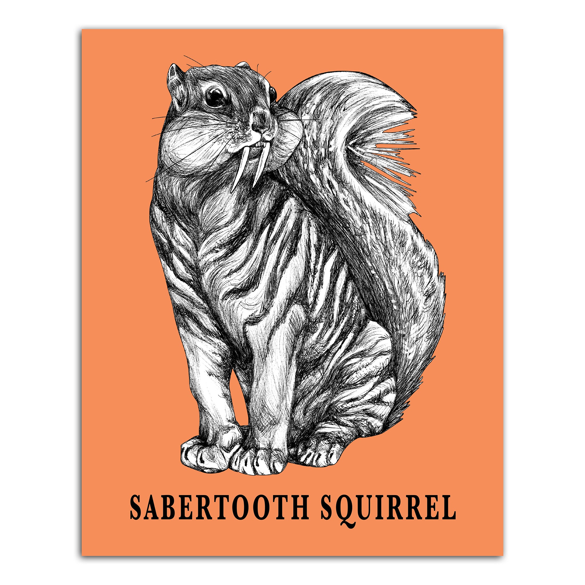 Sabertooth Squirrel | Sabertooth Tiger + Squirrel Hybrid Animal | 8x10" Color Print