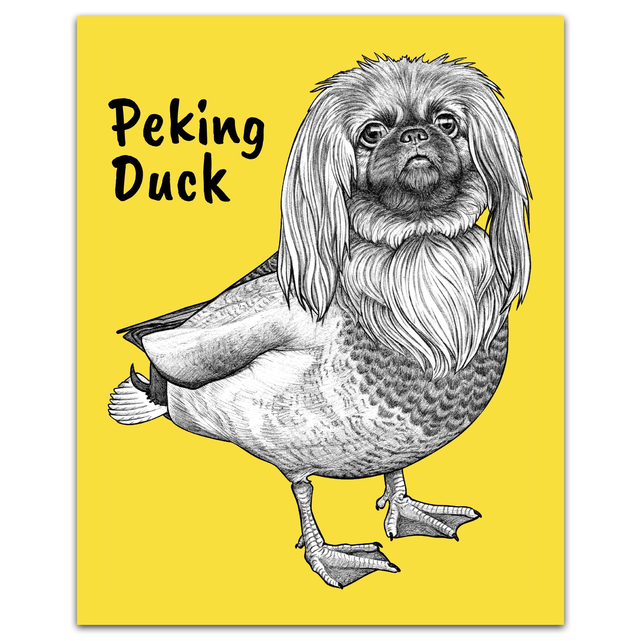 Peking Duck | Pekingese + Duck Hybrid Animal | 8x10" Color Print