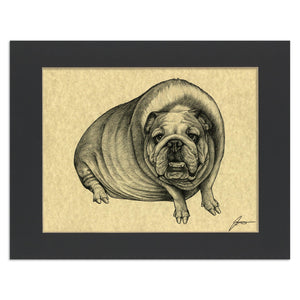 Bullhog 11x14