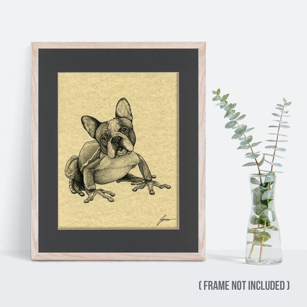 French Bullfrog 11x14" Parchment Print - Whatif Creations