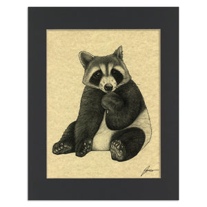 Pandacoon 11x14